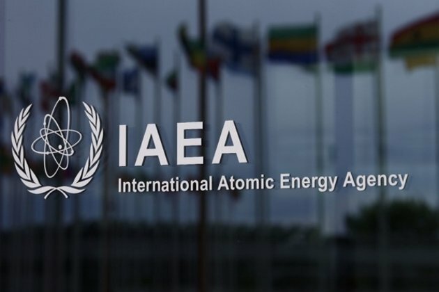Wildfires near Ukraine's Chernobyl plant pose no radioactive threat: IAEA