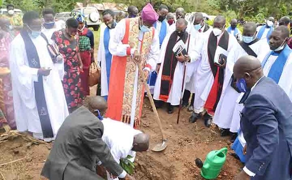 Omulabirizi Luwalira ng'asimba omuti. Omulabirizi Luwalira ng'asimba omuti.