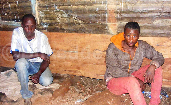 Tumwesigye mu kikaketi ne Nsubuga nga batunula binsobedde oluvannyuma lw'olukwe lwe baaluse okusima akaduukulu batoloke okugwa obutaka. EKIF: MOSES LEMISA Tumwesigye mu kikaketi ne Nsubuga nga batunula binsobedde oluvannyuma lw'olukwe lwe baaluse okusima akaduukulu batoloke okugwa obutaka. EKIF: MOSES LEMISA