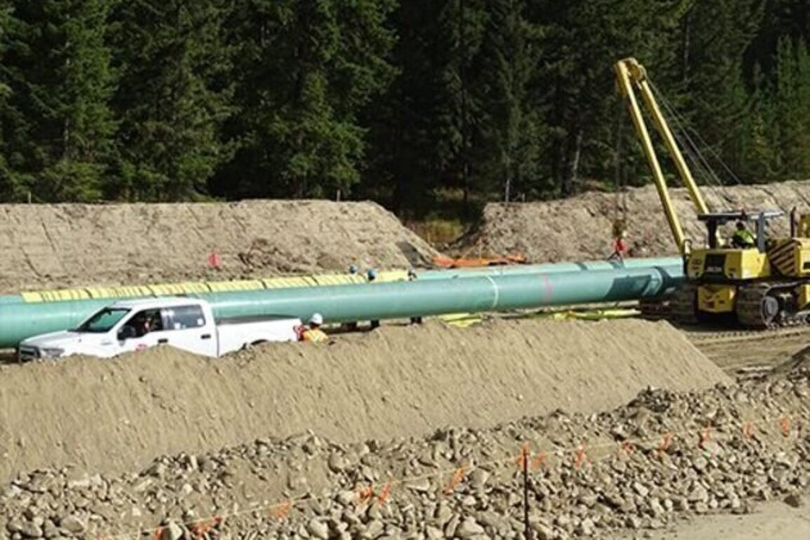 'Sovereign Pipeline': CEO Pitches to Keep Trans Mountain in Government Hands