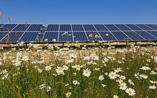 Hertfordshire solar farm developers promise 98 per cent Biodiversity Net Gain uplift