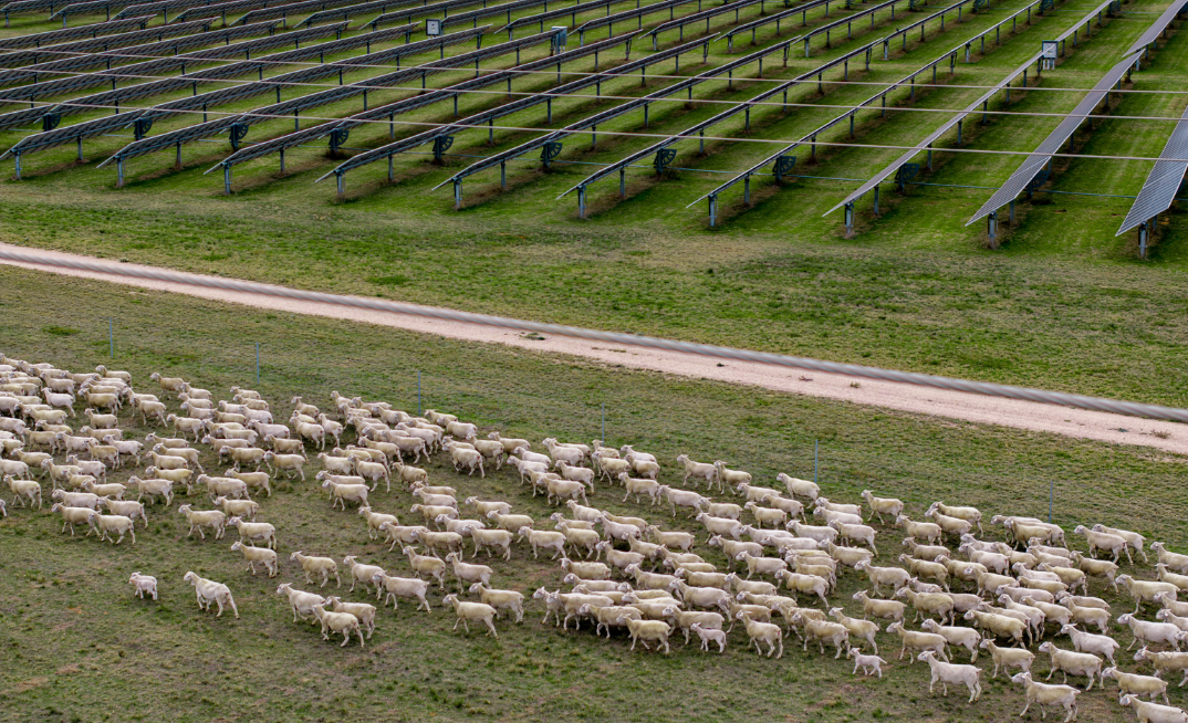 Octopus finalises deal on $900m Blind Creek