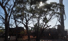 The Mons project is underexplored