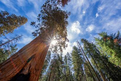 Where does 'investing' end and 'trading' start?