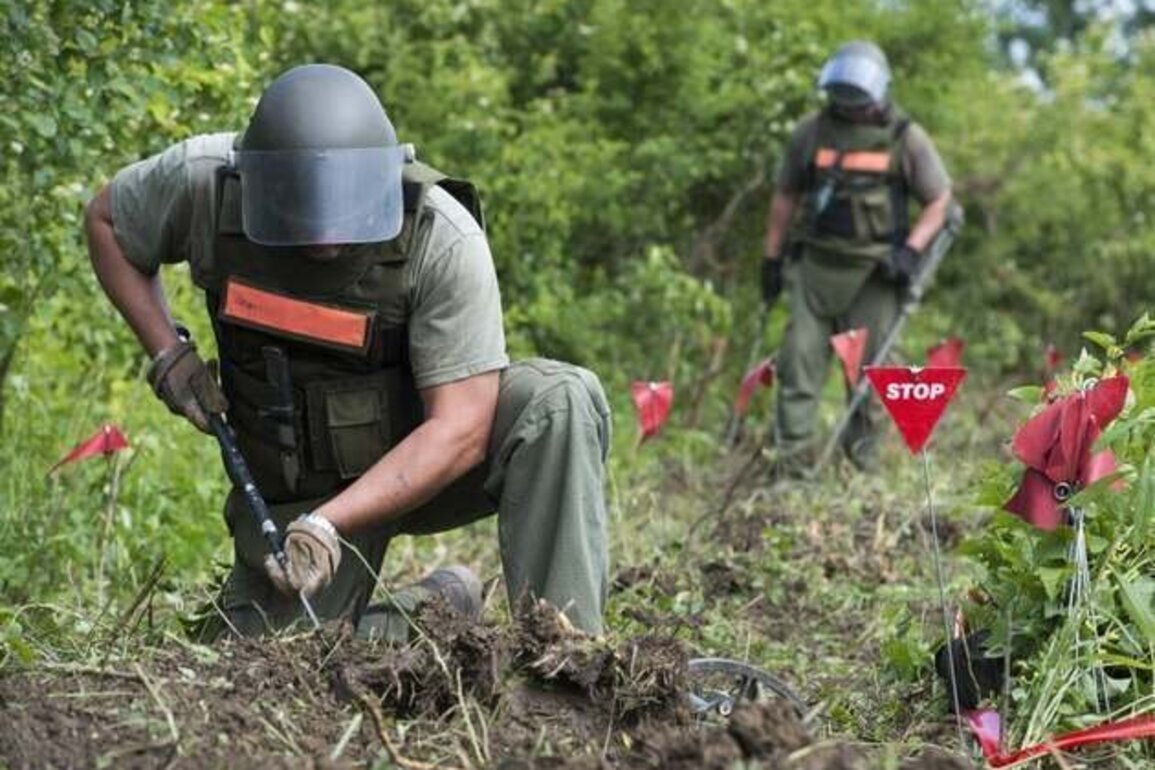 Mine Ban Treaty Achieves Progress amid Challenges
