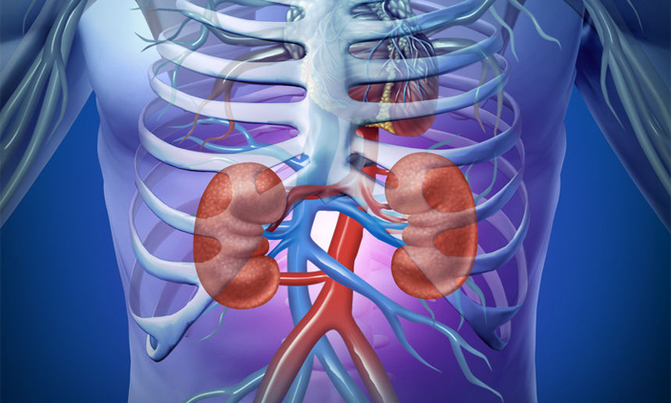 10 habits that can damage your kidneys 10 habits that can damage your kidneys