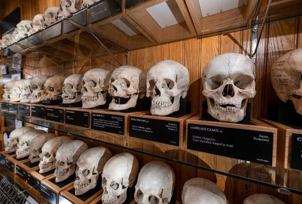 Inishbofin skulls taken by academics in Ireland in 1890 return home