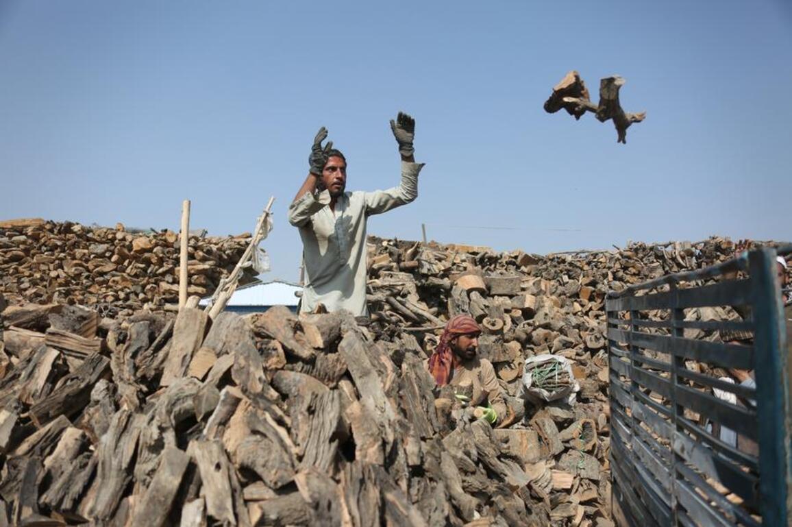 Economic hardship leaves Afghans struggling to heat their homes this winter