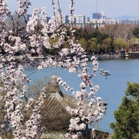 (EcoChina)CHINA-BEIJING-SPRING SCENERY (CN)