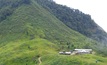 Congrejos in Ecuador