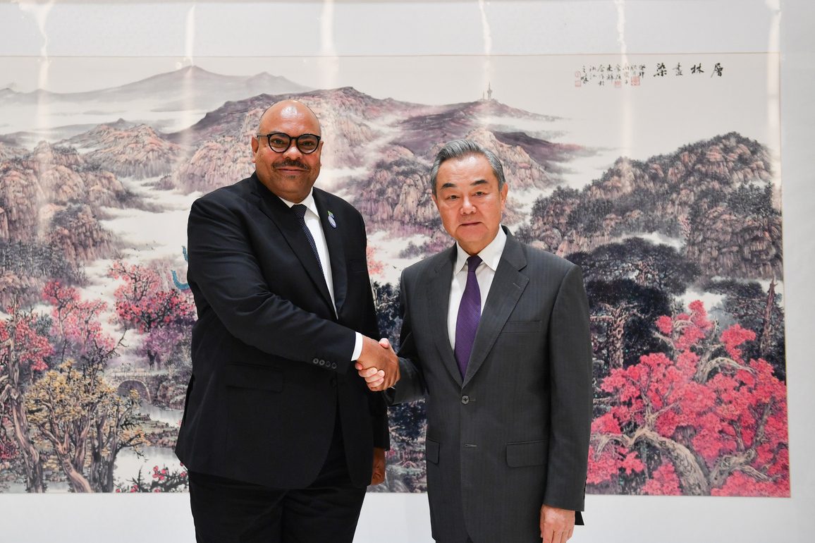 CHINA-HUNAN-CHANGSHA-WANG YI-TANZANIA-MEETING (CN)