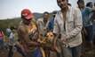 Rescuers carry an injured dog to safety in Bento Rodrigues. Photograph: Felipe Dana/AP