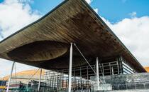 All change for Welsh farmers as Plaid Cymru secures victory in Senedd elections