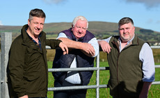 Genetics key to success for North Ireland pedigree beef herd