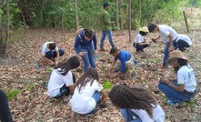  Mineração Serra Verde e Engie Brasil promovem plantio de mudas para revitalização de nascentes/Divulgação