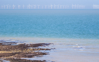 'A crucial buffer against expensive gas': Britain's wind farms set 'world leading' generation record