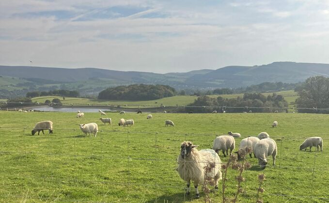 "We can never sleep. Our lives have been tormented by people who just cannot behave in the countryside. They call us Tory c****. Either that or they just scream 'RIGHT TO ROAM' in our faces as some form of God given right to do what they want on our land."