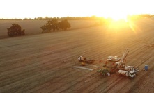 Caspin's Serradella prospect is now more than 1km long