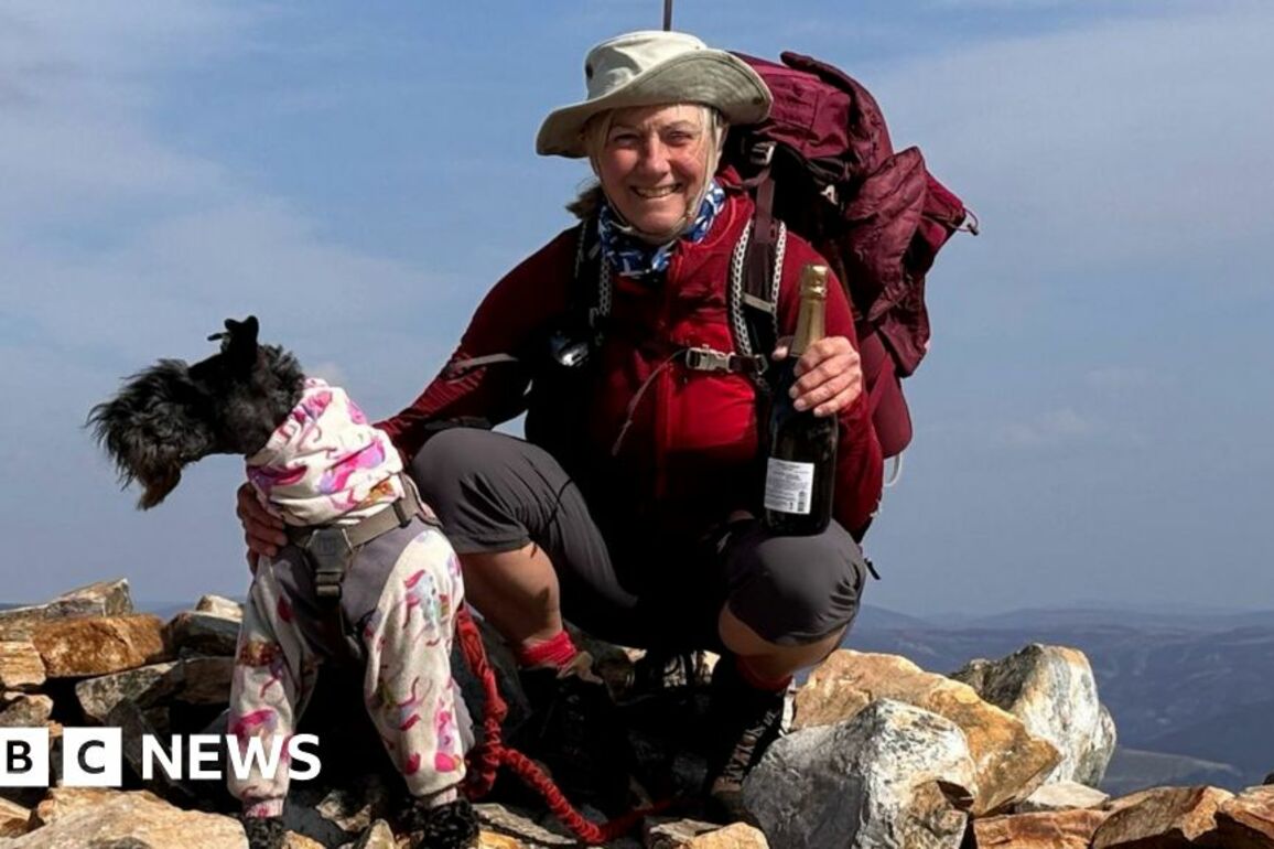 Terrier Betty completes 'full house' challenge of UK summits