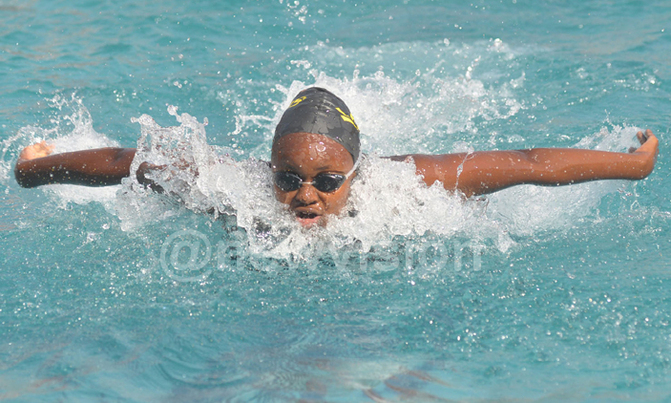 Swimmers set new records at the second Seals League Meet Swimmers set new records at the second Seals League Meet