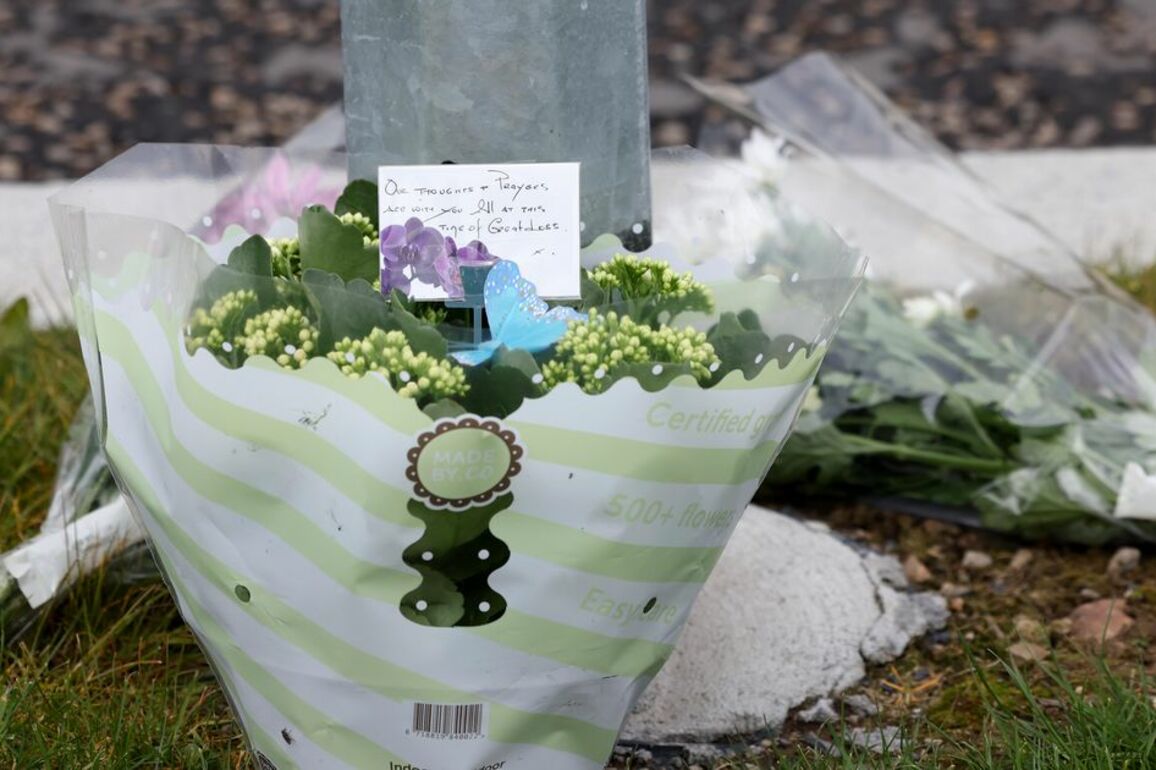 Community devastated after young boy dies in road collision