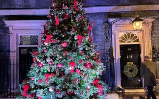 Winning Christmas Tree Grower of the Year accolade was 'good for morale' after tough growing season