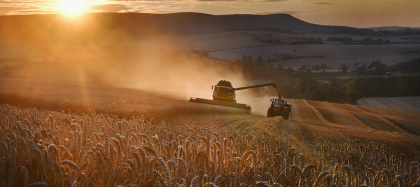 'Fundamental to the economy': Government publishes five-year Environmental Improvement Plan
