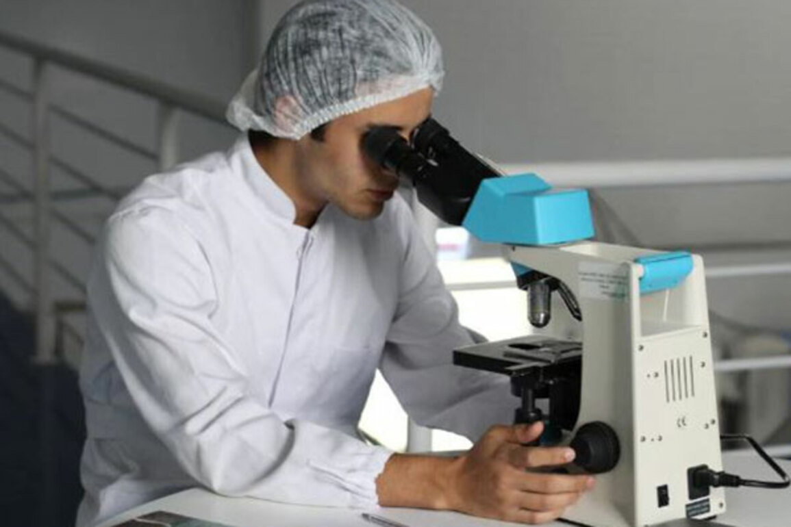 Natural compound targets tumour metabolism: Study