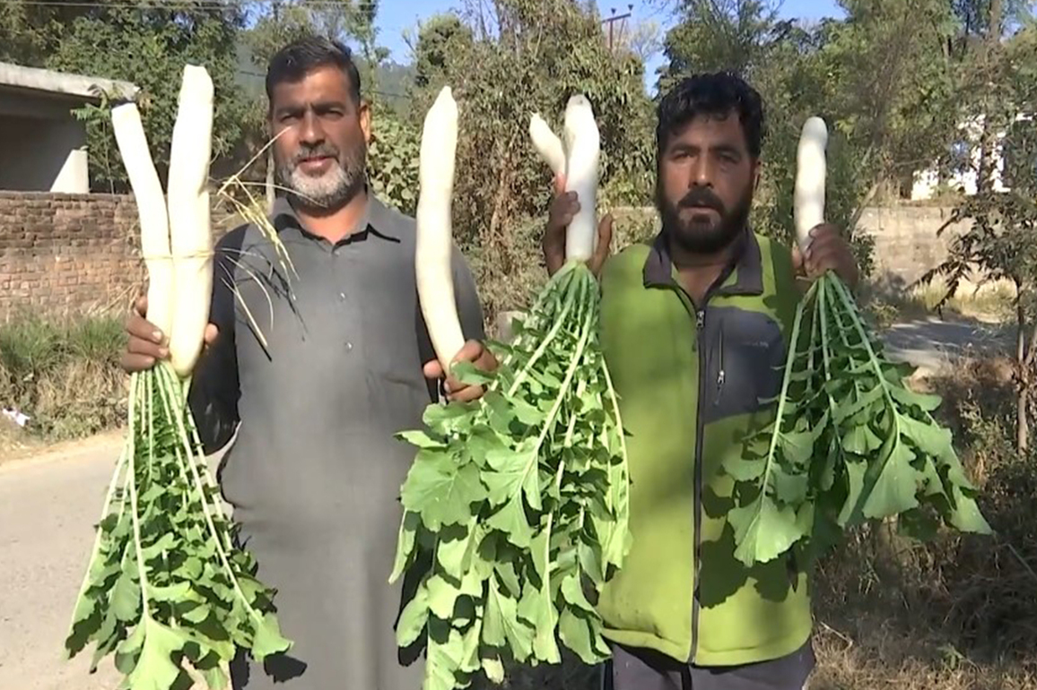 Mehra village in Rajouri turns 100% organic as youth lead a sustainable farming shift