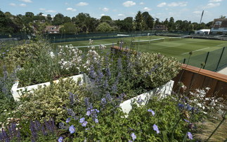 How Wimbledon is aiming to ace the climate adaptation challenge