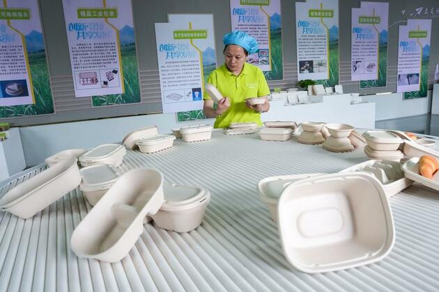 Turning bagasse into treasure, Chinese biodegradable tableware goes global