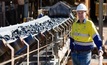 Bill Beament ... Northern Star turning gold 'resources' into piles of cash