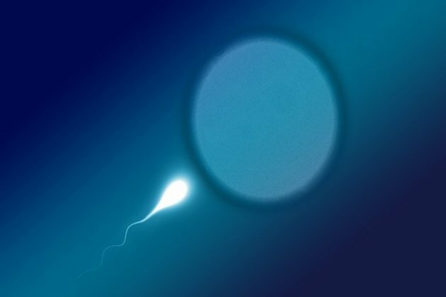 Study suggests early weight loss protects future fertility