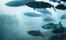 Transitioning to the circular bioeconomy