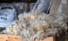 Cutting edge protein injection pells wool