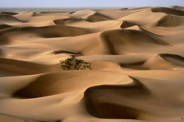"Sea of Death" becomes land of wonder