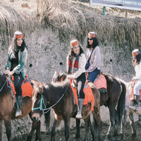 Kufri's winter charm draws tourists, boosts local livelihoods in Himachal