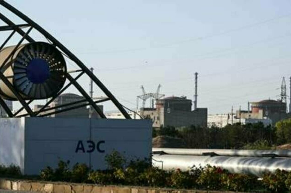 No one but Russia to control Europe's largest nuclear plant - director