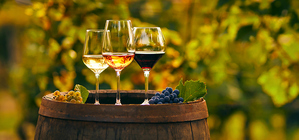 The sustainable benefits of investing in fine wine
