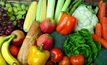 NZ produce contains Chinese vegies: AUSVEG