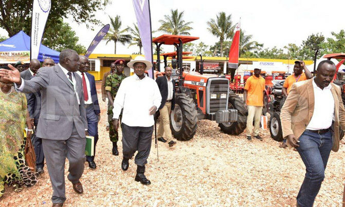Do not grow maize, sugarcane on small pieces of land…. Do not grow maize, sugarcane on small pieces of land….