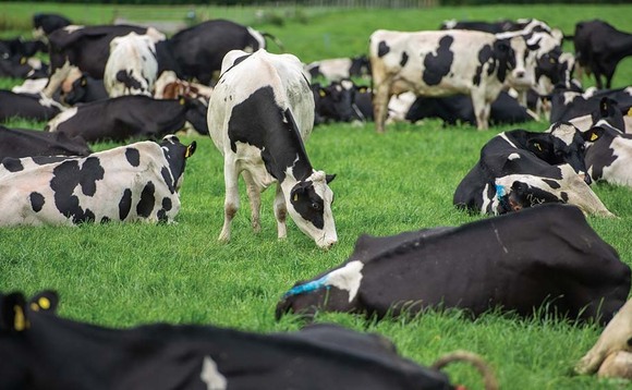Opportunities for global milk trade