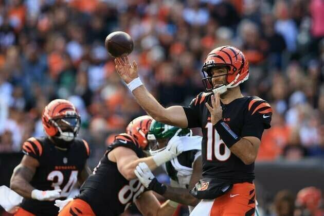 Bruised Bengals to battle baffled Bears
