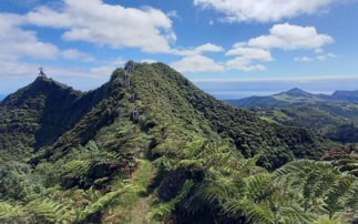 Government provides £35m funding boost to overseas conservation projects