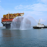 MSC Irina docking is milestone not just for Vizhinjam but for India's emergence as key player in global transshipment: Karan Adani