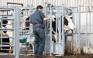 Letters: "This shows there is now more adaptability from the Government in trying to meet the evolving needs of the farming industry"