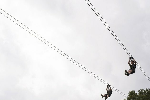 Tourist dies in Aussie jungle zipline fall