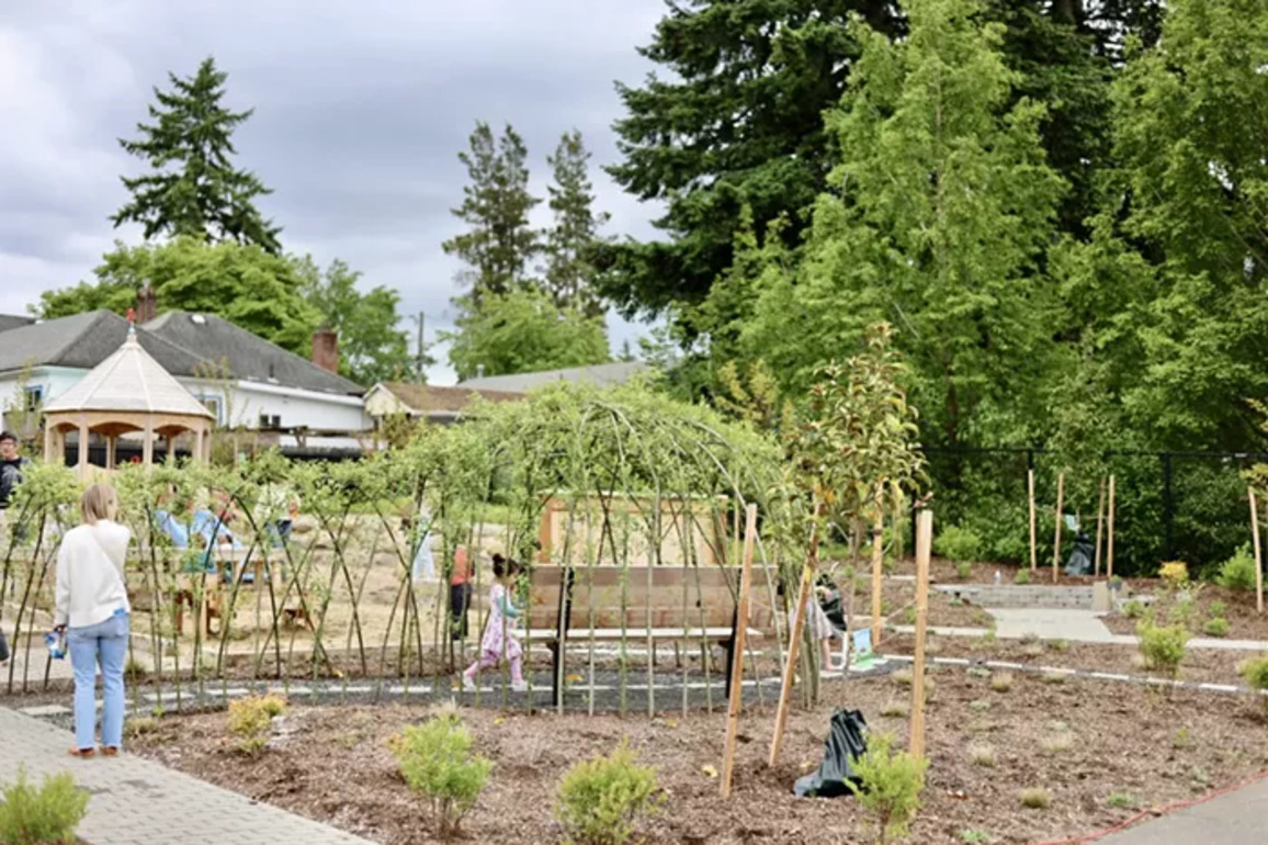 At This Cully Church, an Unwanted Parking Lot Is Now a Garden Refuge  Mercury