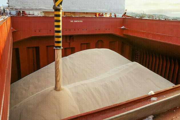 Russias fertilizer exports to BRICS soaring  industry