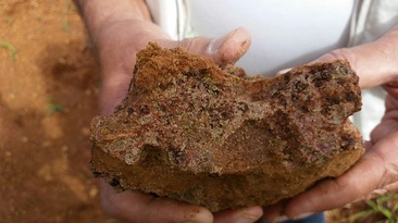 Medidas incluem materiais críticos como fosfato